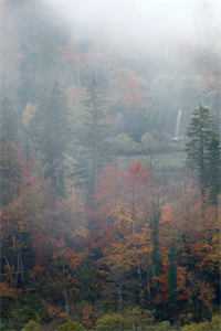 偏我去时春满城大结局是什么