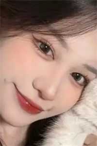 望不穿月影西沉顾南辰林晚意全本免费在线阅读