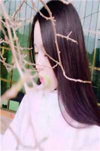 和岳父跑路后，婆婆和妻子急疯了崔如烟沈致礼全章节免费在线阅读完结版免费阅读