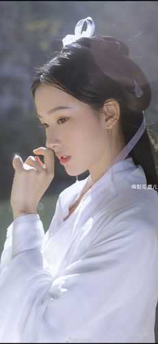 春风言相守，落花言别离李如风清灵小说免费在线阅读无删减正版