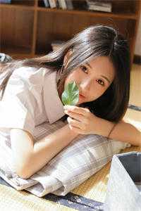 转嫁京圈大佬后，前任悔不当初苏婉禾司北琛全本免费在线阅读