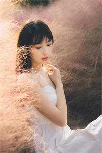 愿我如星君如月许随安陈见津全本免费在线阅读