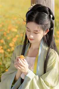 谢尽长安花情感纠葛沈照霜宁砚免费小说在线阅读最新章节