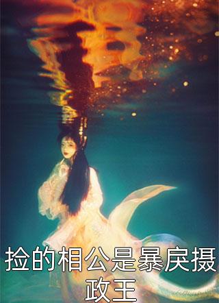 自请下堂的太子妃改嫁后太子悔疯了晏君阑叶秋霜全文免费阅读无弹窗大结局
